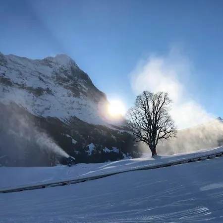 Sleeps 6 Wifi Grindelwald